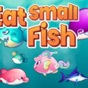 eat small fish