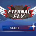 eternal fly