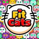 fit cats