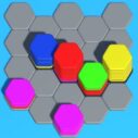 hexa sort 3d puzzle