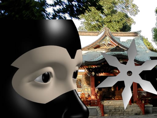 Academia Ninja