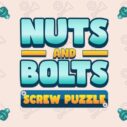 nuts and bolts screw puzzle