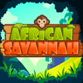 african savannah