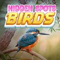 hidden spots birds